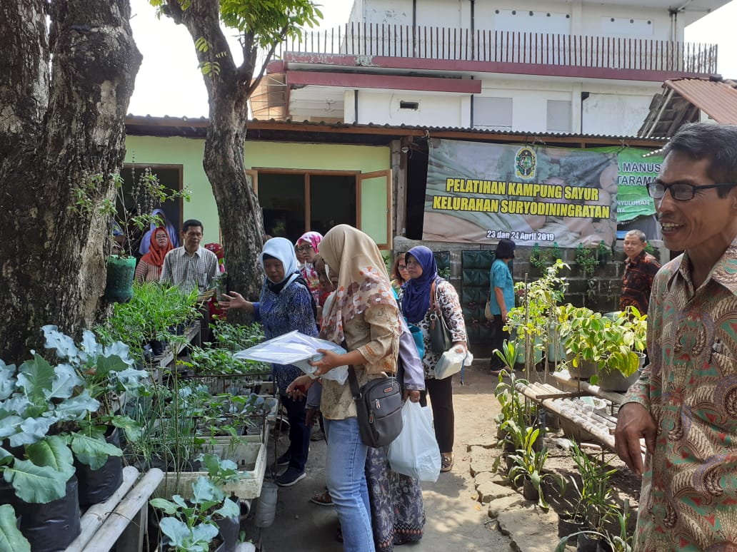 Wujud Pengembangan Budidaya Pertanian Perkotaan Kelurahan Suryodiningratan Adakan Pelatihan Kampung Sayur